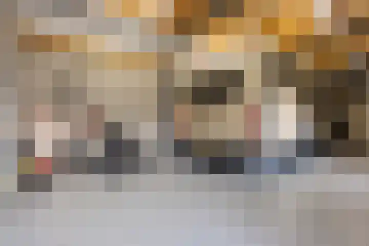 Kalvermaat 8 Ruinen thumbnail 69