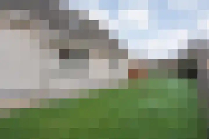 Kalvermaat 8 Ruinen thumbnail 70