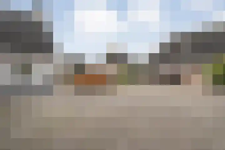 Kalvermaat 8 Ruinen thumbnail 8