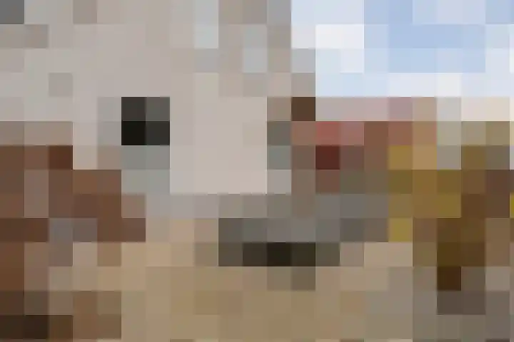 Kalvermaat 8 Ruinen thumbnail 9