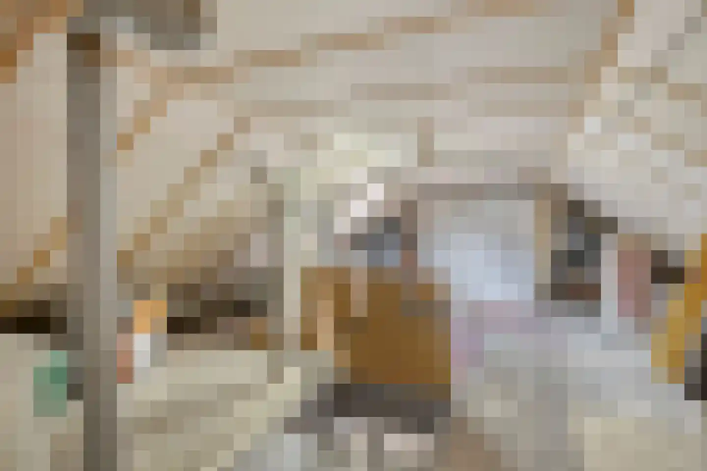 Kalverstraat 1 Eindhoven thumbnail 27