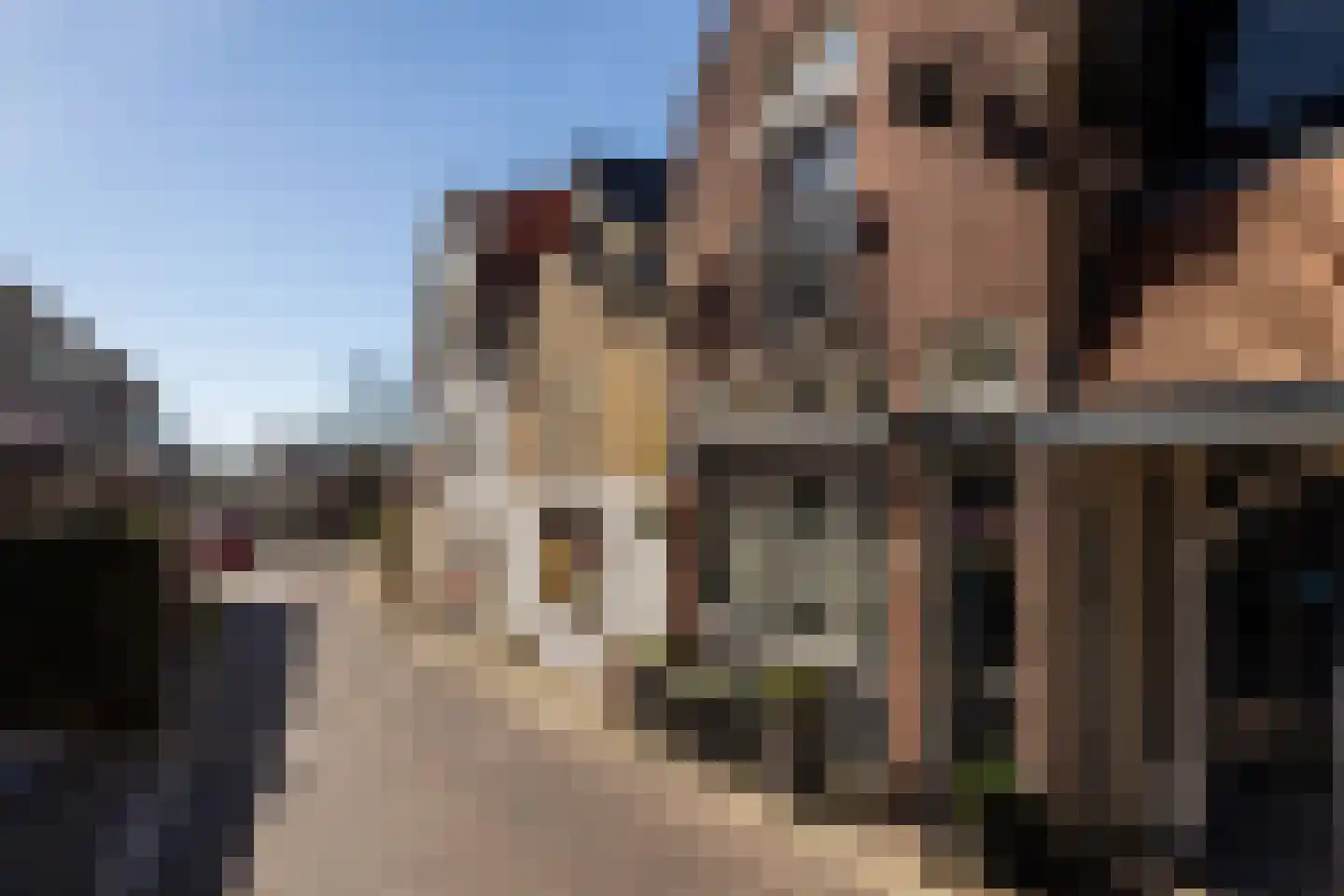 Kalverstraat 10 Ouderkerk aan den IJssel thumbnail 10