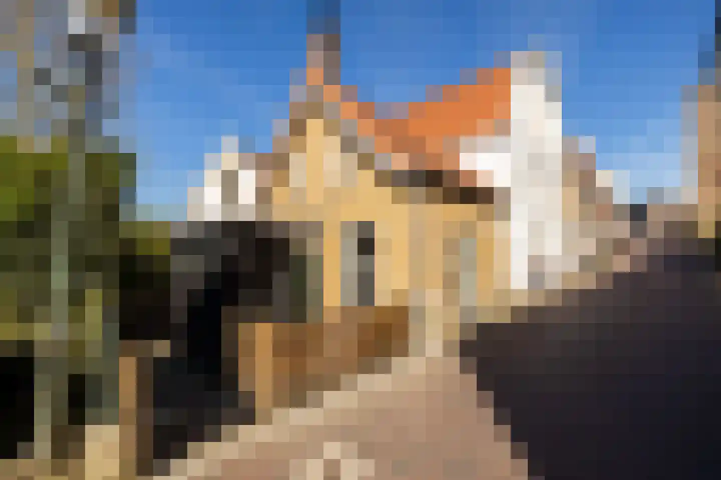 Kalverstraat 10 Ouderkerk aan den IJssel thumbnail 13