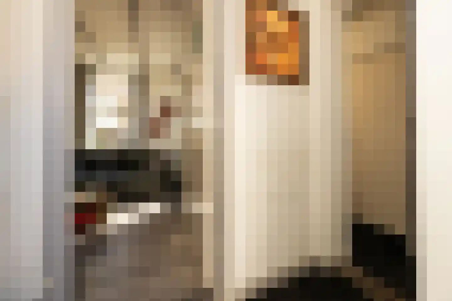 Kalverstraat 10 Ouderkerk aan den IJssel thumbnail 18