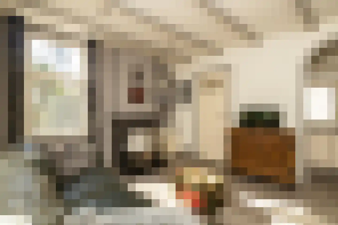 Kalverstraat 10 Ouderkerk aan den IJssel thumbnail 21