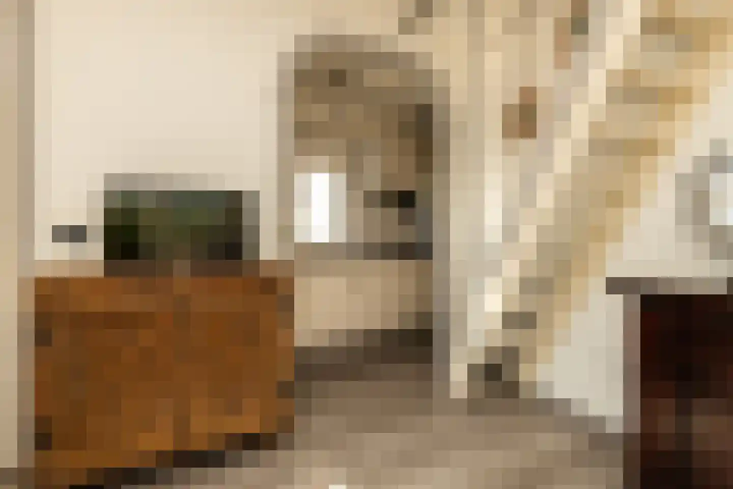 Kalverstraat 10 Ouderkerk aan den IJssel thumbnail 24