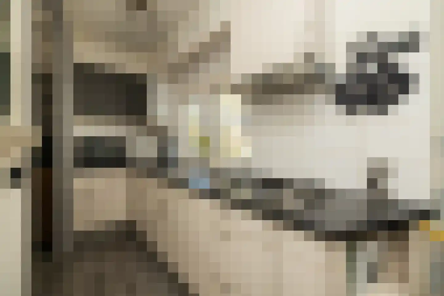 Kalverstraat 10 Ouderkerk aan den IJssel thumbnail 26