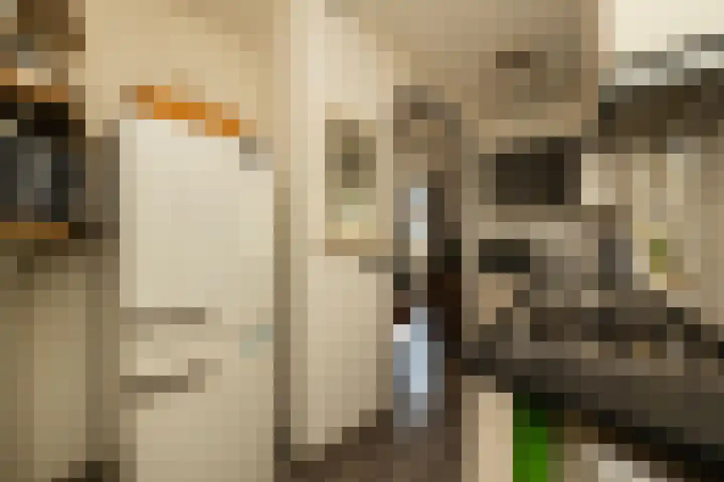 Kalverstraat 10 Ouderkerk aan den IJssel thumbnail 28