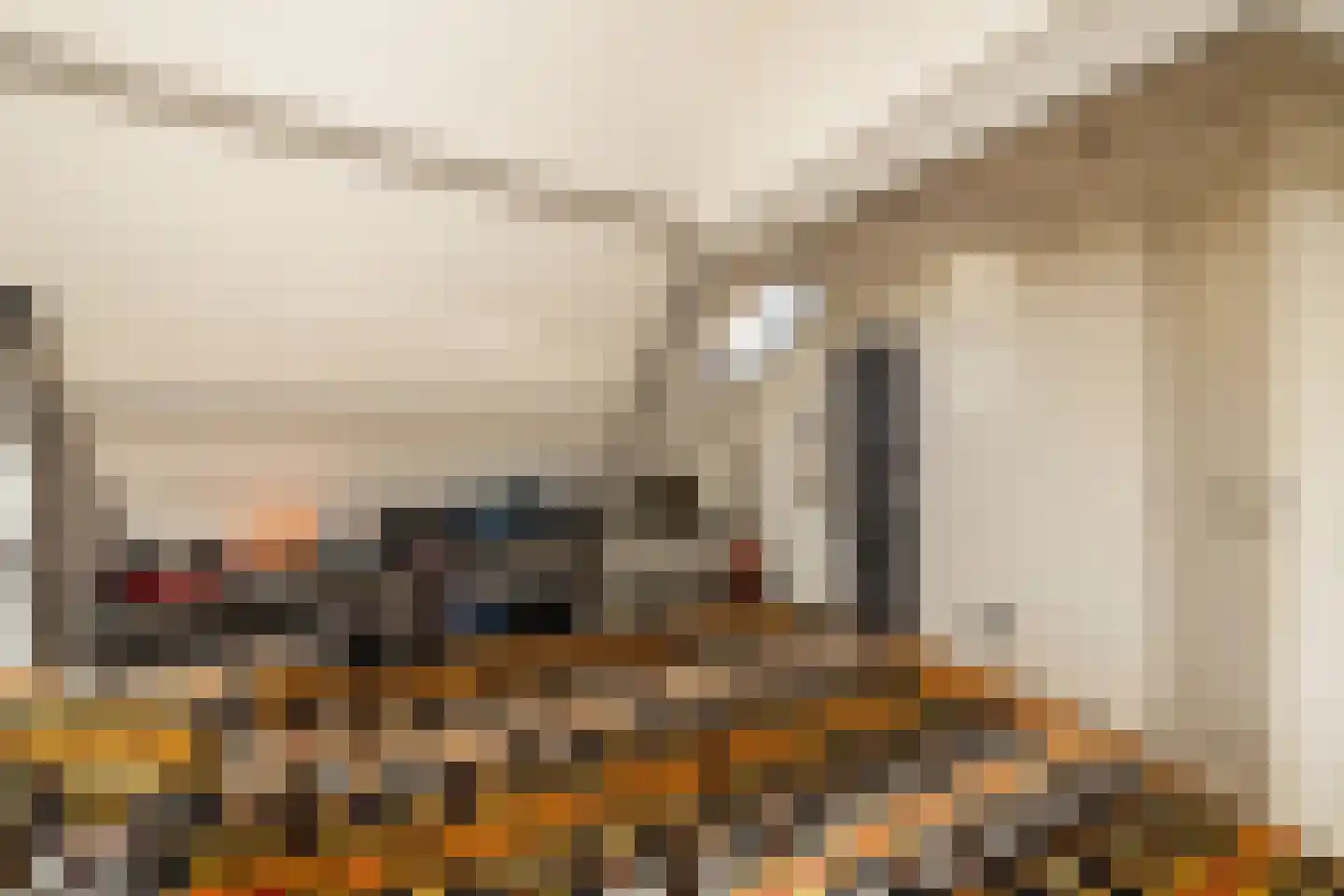 Kalverstraat 10 Ouderkerk aan den IJssel thumbnail 33