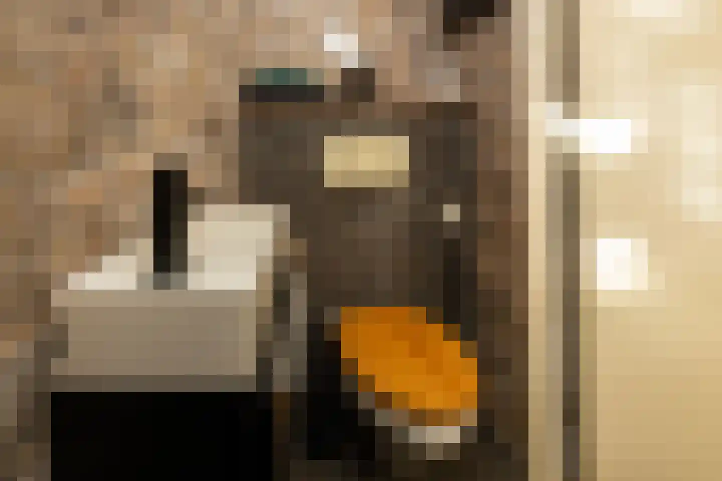 Kalverstraat 10 Ouderkerk aan den IJssel thumbnail 37