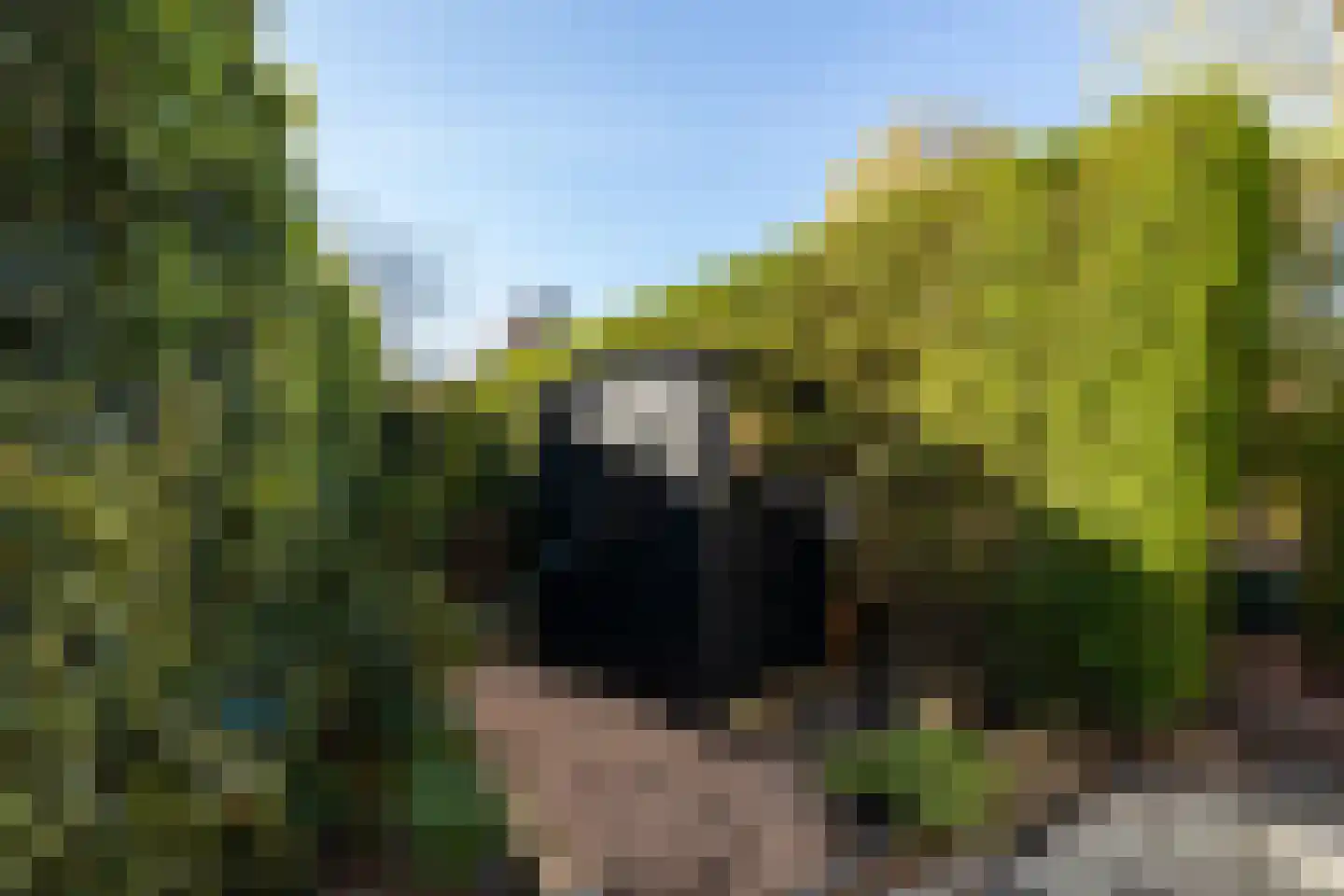 Kalverstraat 10 Ouderkerk aan den IJssel thumbnail 38