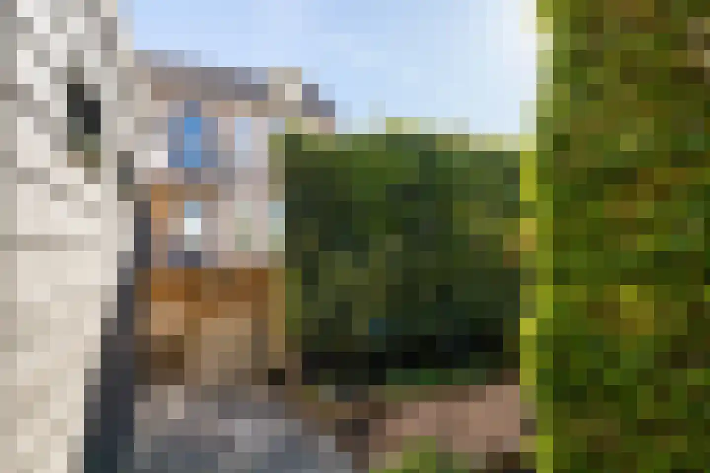 Kalverstraat 10 Ouderkerk aan den IJssel thumbnail 39