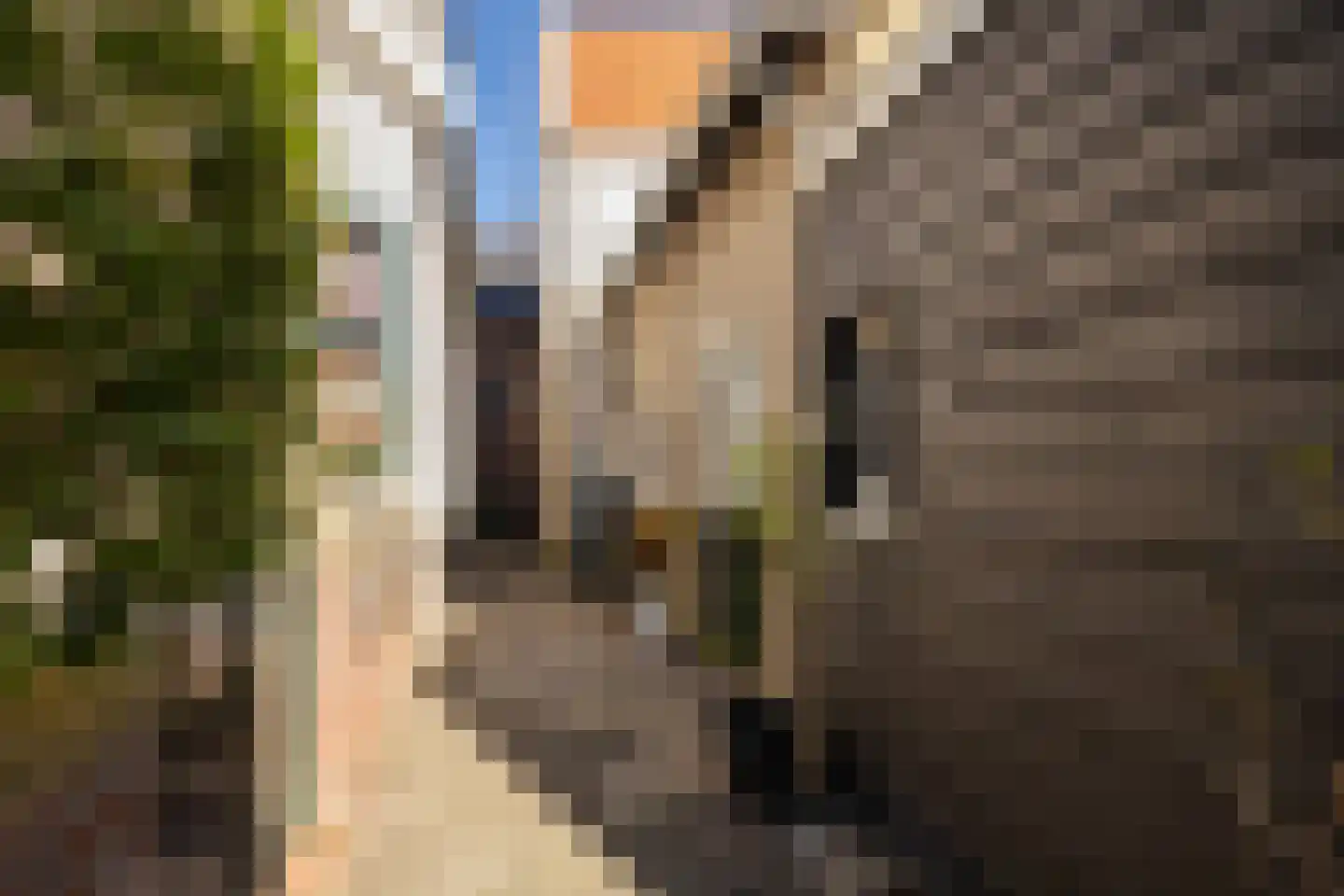 Kalverstraat 10 Ouderkerk aan den IJssel thumbnail 43
