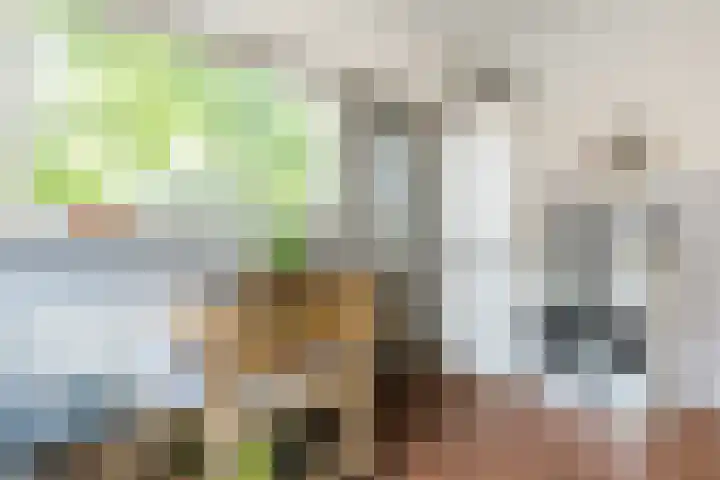 Kalverstraat 17 Made thumbnail 20