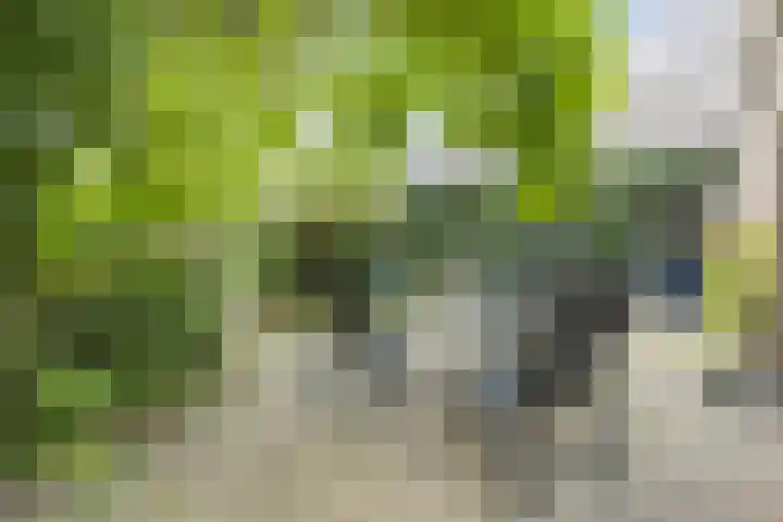 Kalverstraat 17 Made thumbnail 37