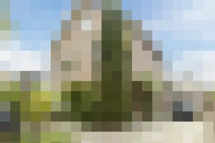 Kalverstraat 17 Made thumbnail 41