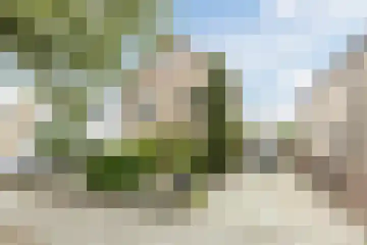 Kalverstraat 17 Made thumbnail 42