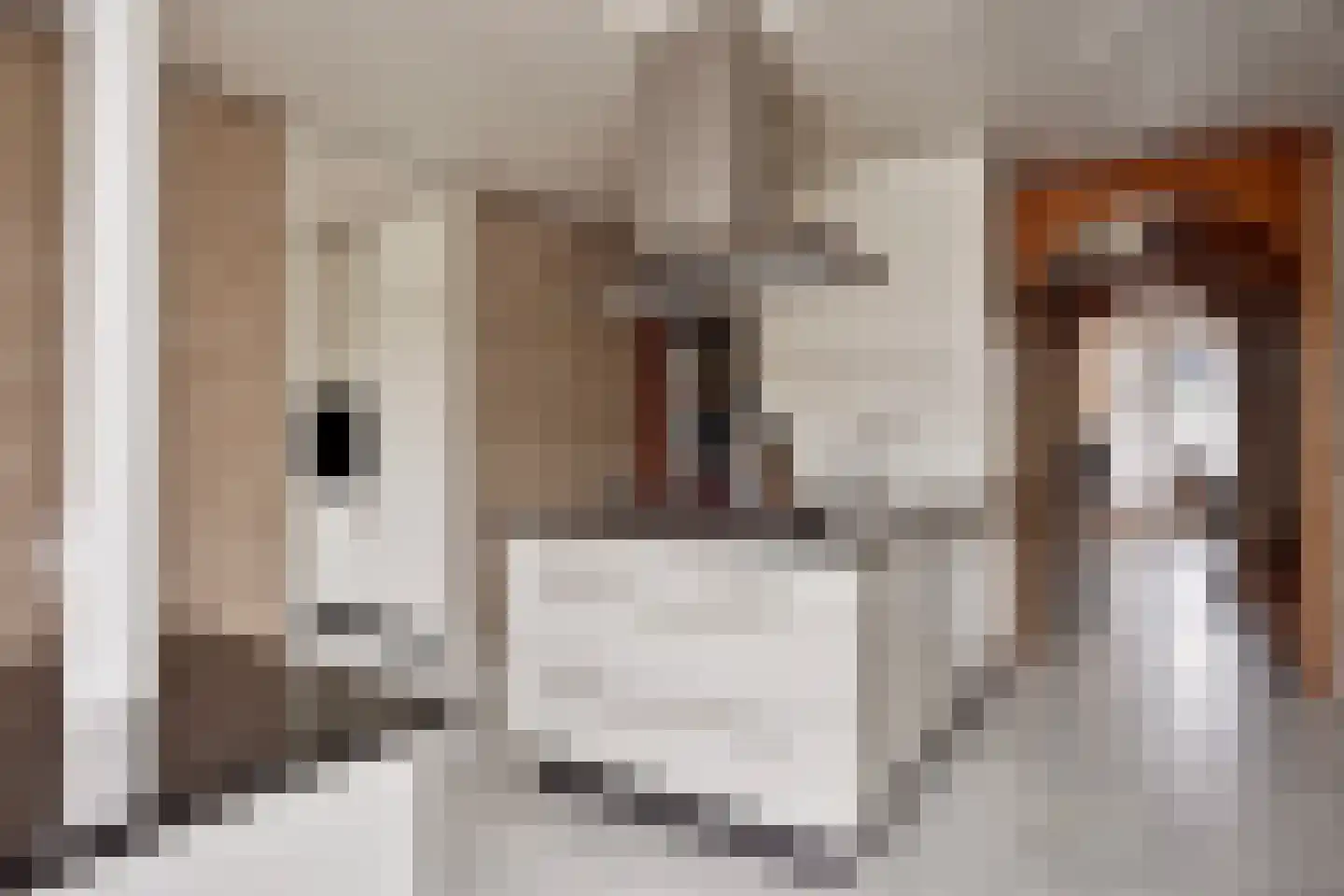 Kalverstraat 19 Made thumbnail 13