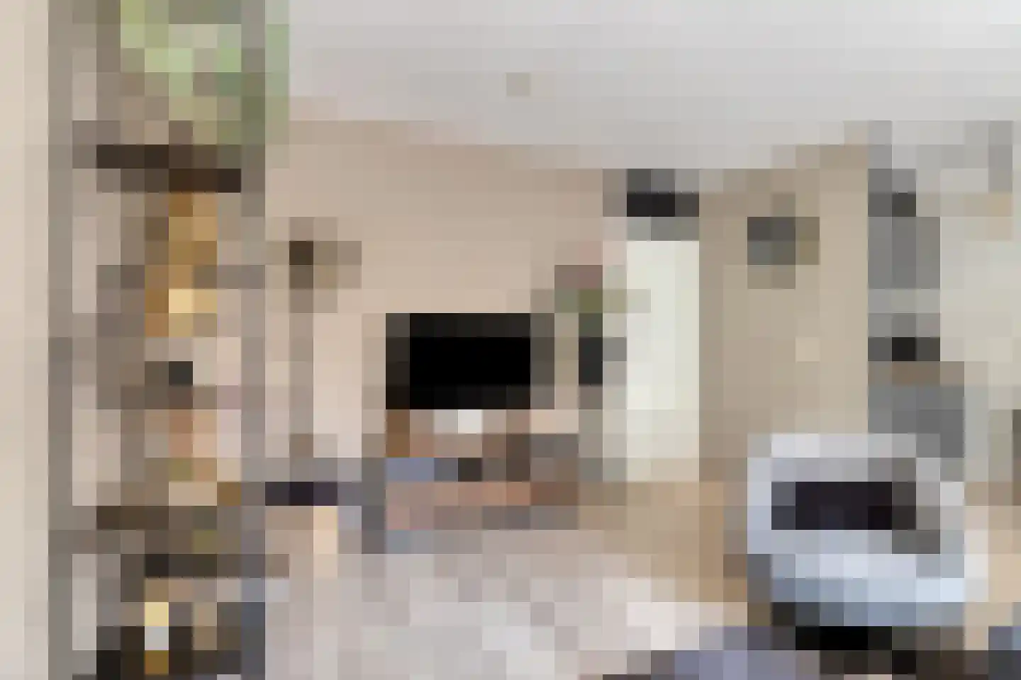 Kalverstraat 21 Ouderkerk aan den IJssel thumbnail 4