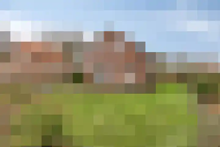 Kalverstraat 23 in Maashees