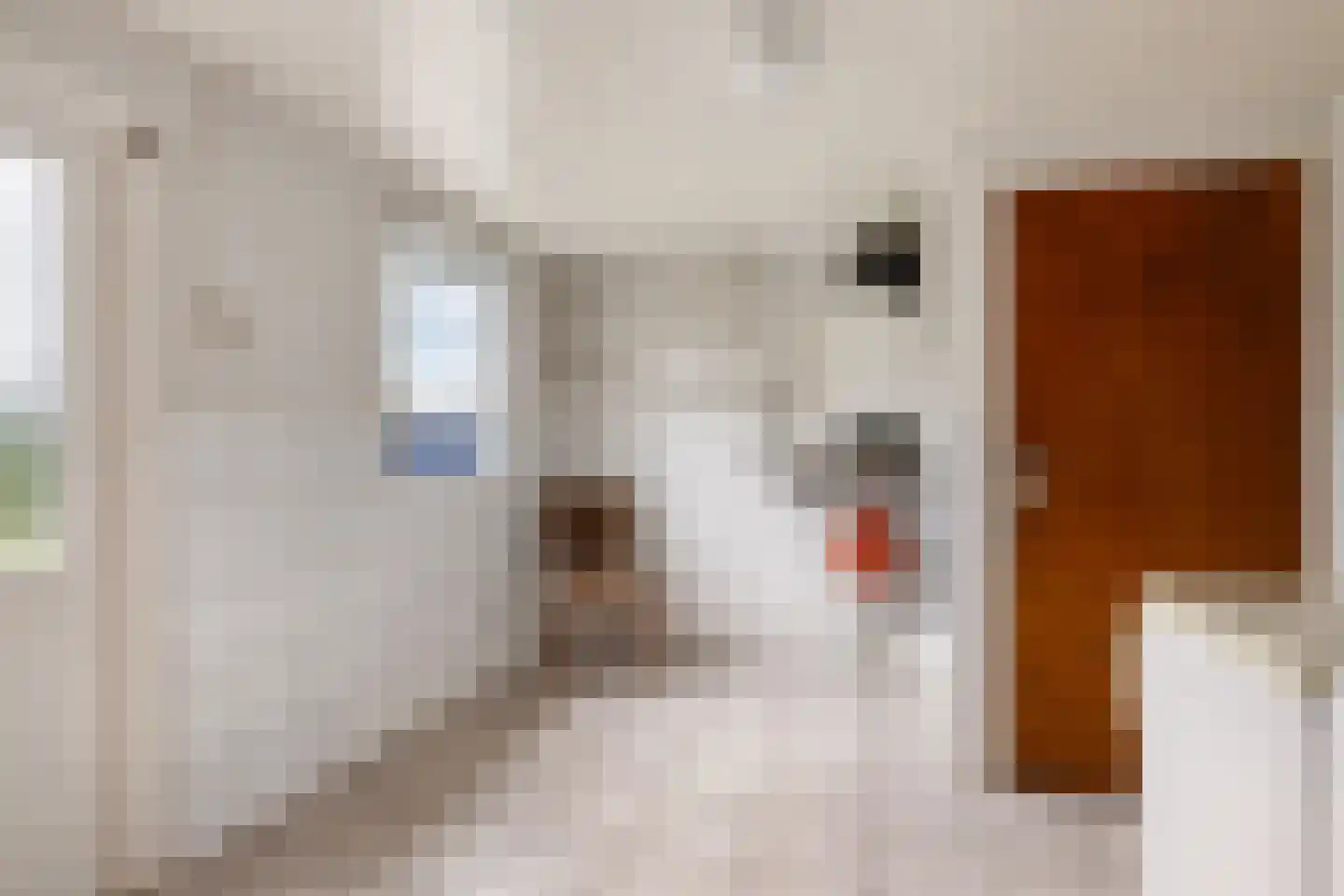 Kalverstraat 23 Maashees thumbnail 15