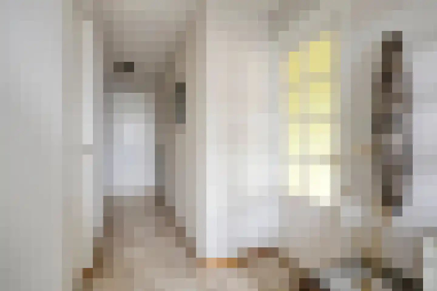 Kalverstraat 26 Eindhoven thumbnail 6