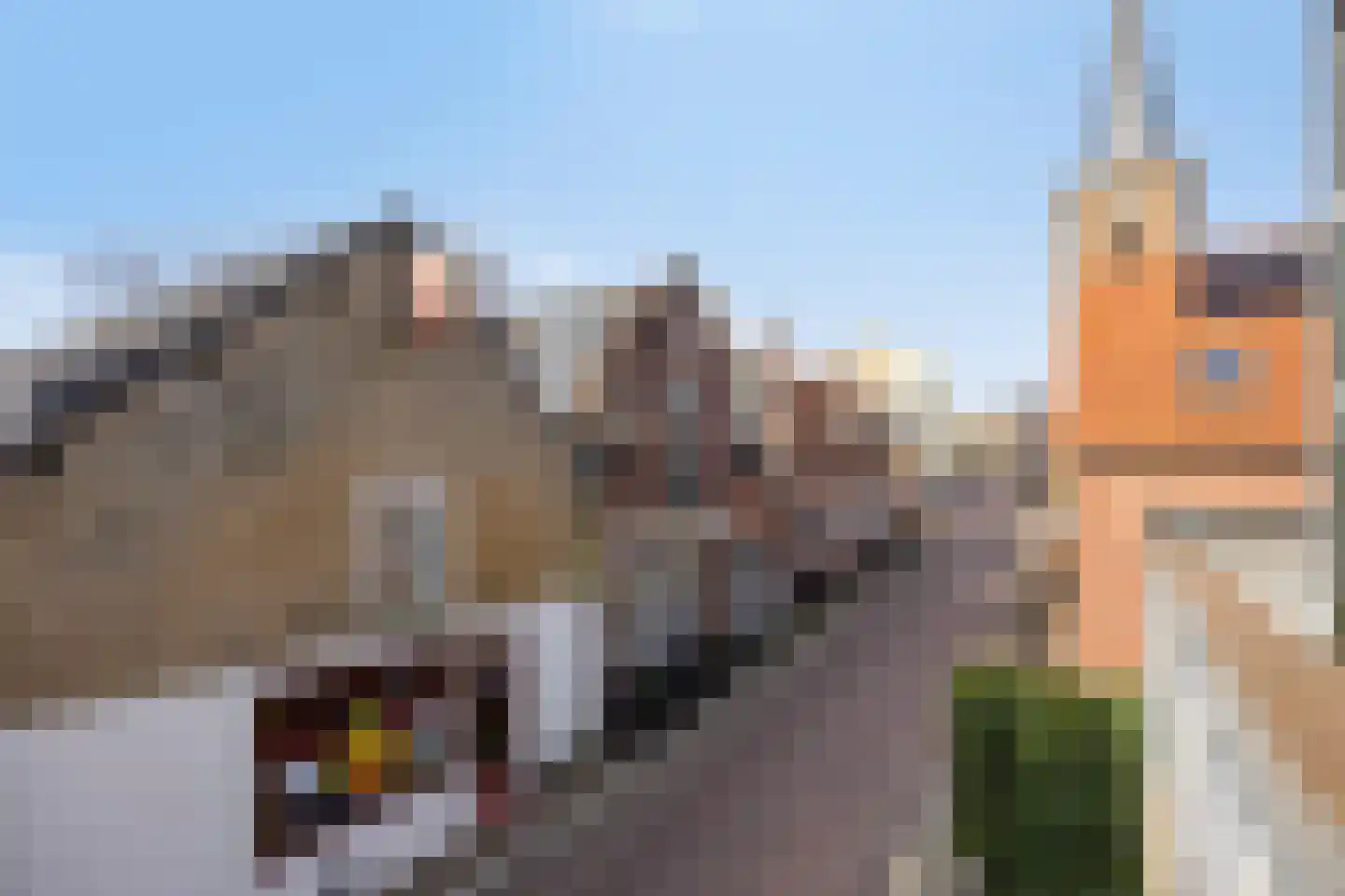 Kalverstraat 27 Ouderkerk aan den IJssel thumbnail 23
