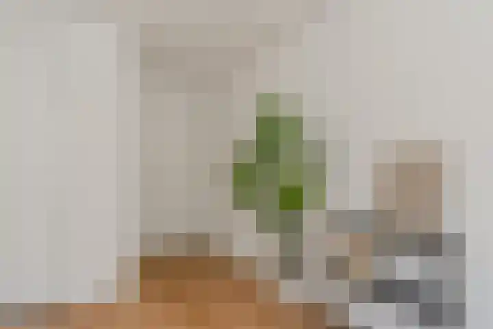 Kalverstraat 4 12 Apeldoorn thumbnail 31