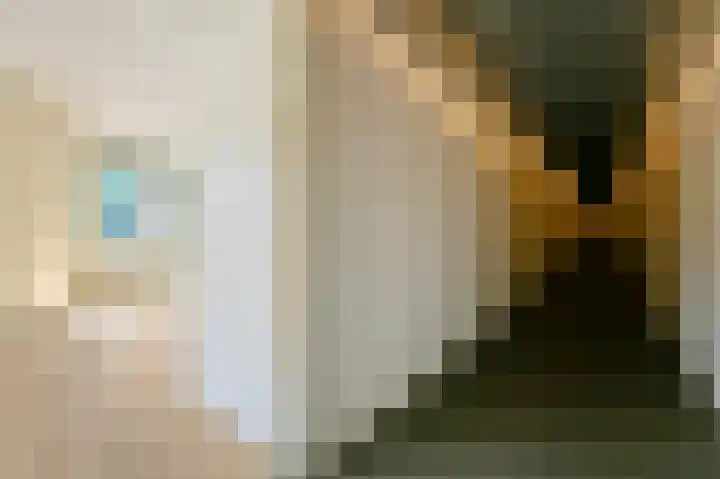 Kalverstraat 4 15 Apeldoorn thumbnail 9