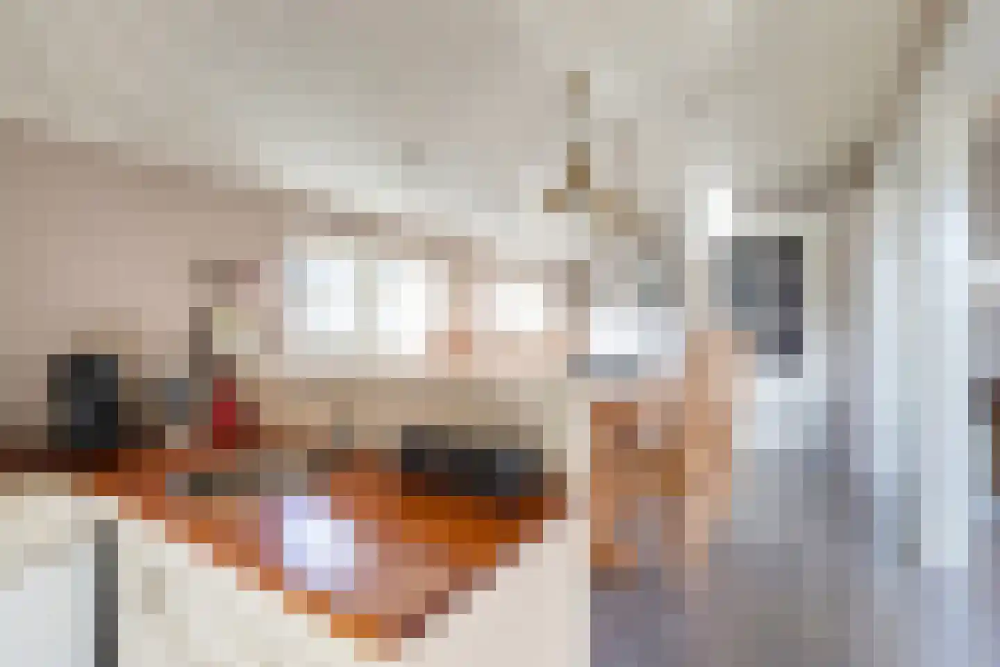 Kalverstraat 4 Hindeloopen thumbnail 14