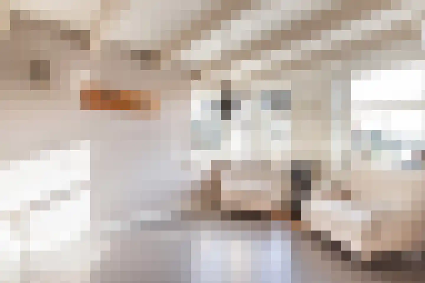 Kalverstraat 4 Hindeloopen thumbnail 18