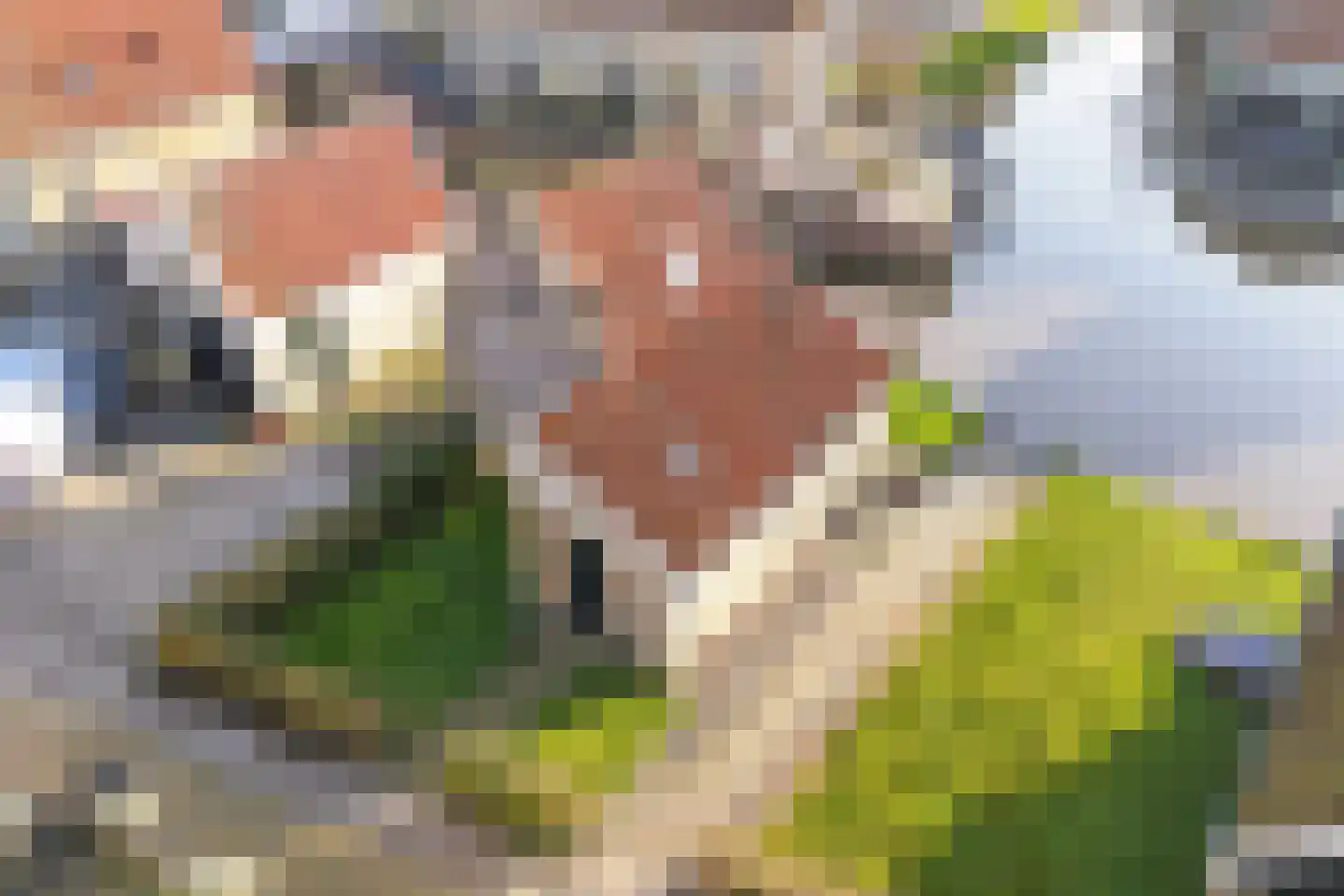 Kalverstraat 4 Hindeloopen thumbnail 4
