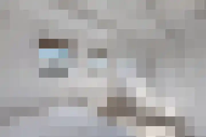 Kalverstraat 5 Hindeloopen thumbnail 30