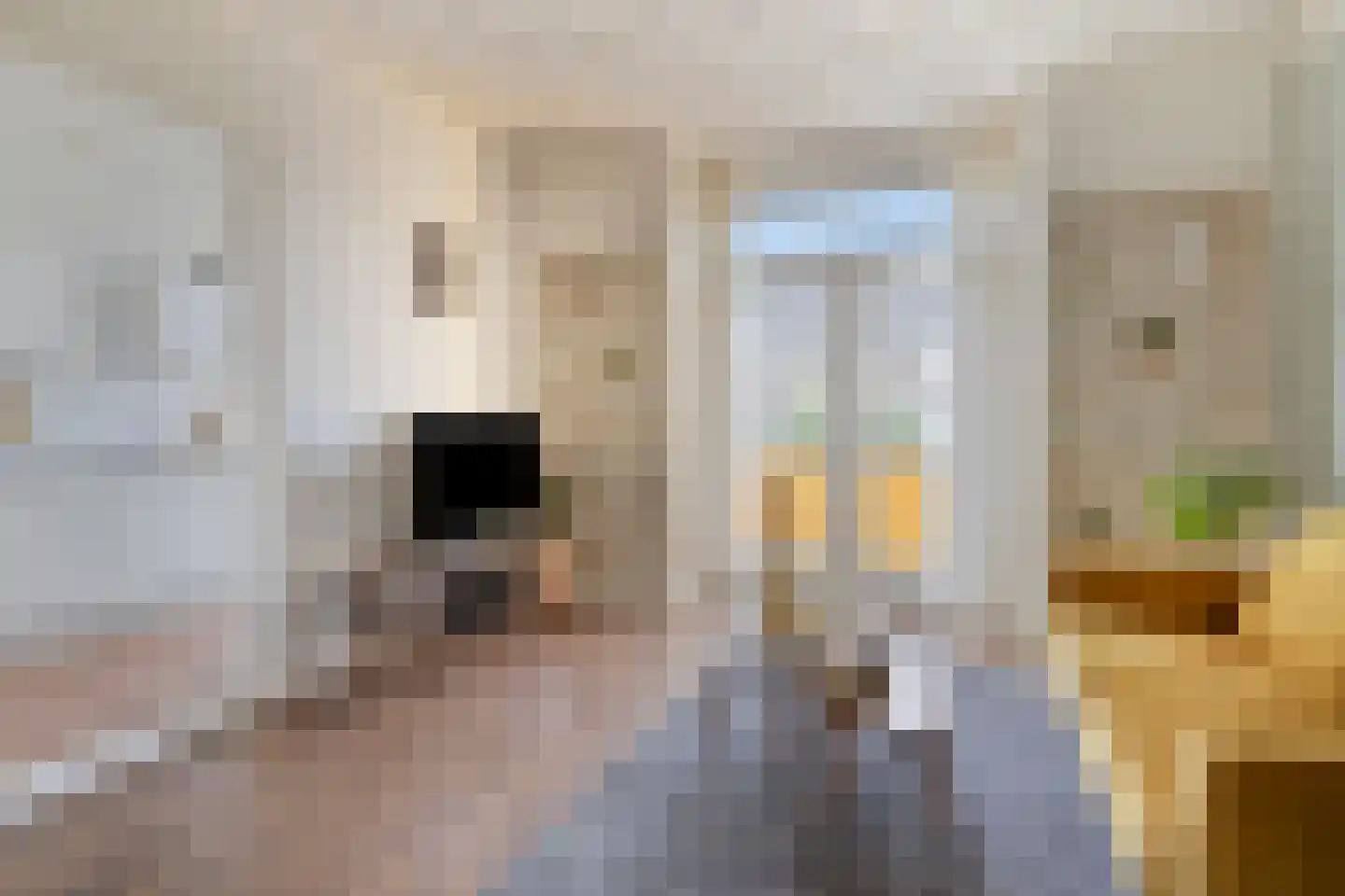 Kalverstraat 56 's-Hertogenbosch thumbnail 4