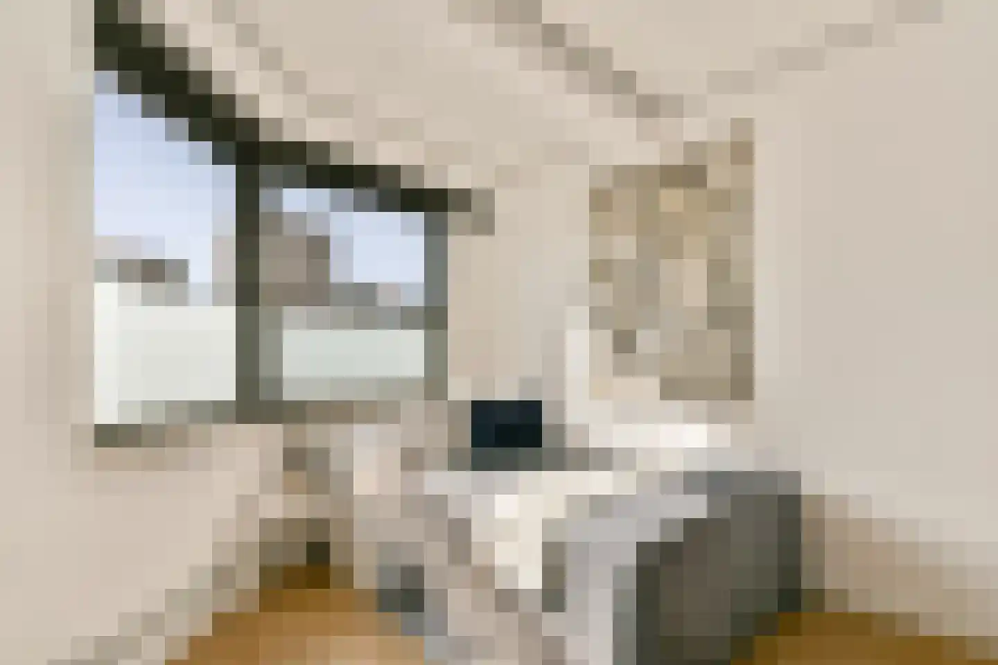 Kalverstraat 6 7 Apeldoorn thumbnail 6