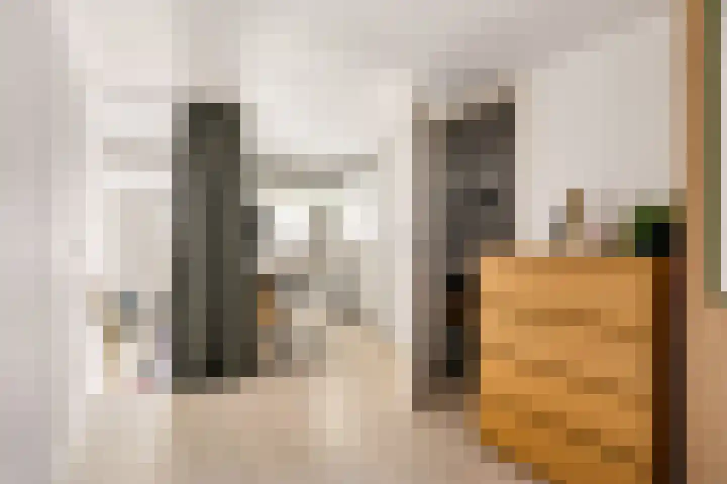 Kalverstraat 6 A Zwolle thumbnail 17