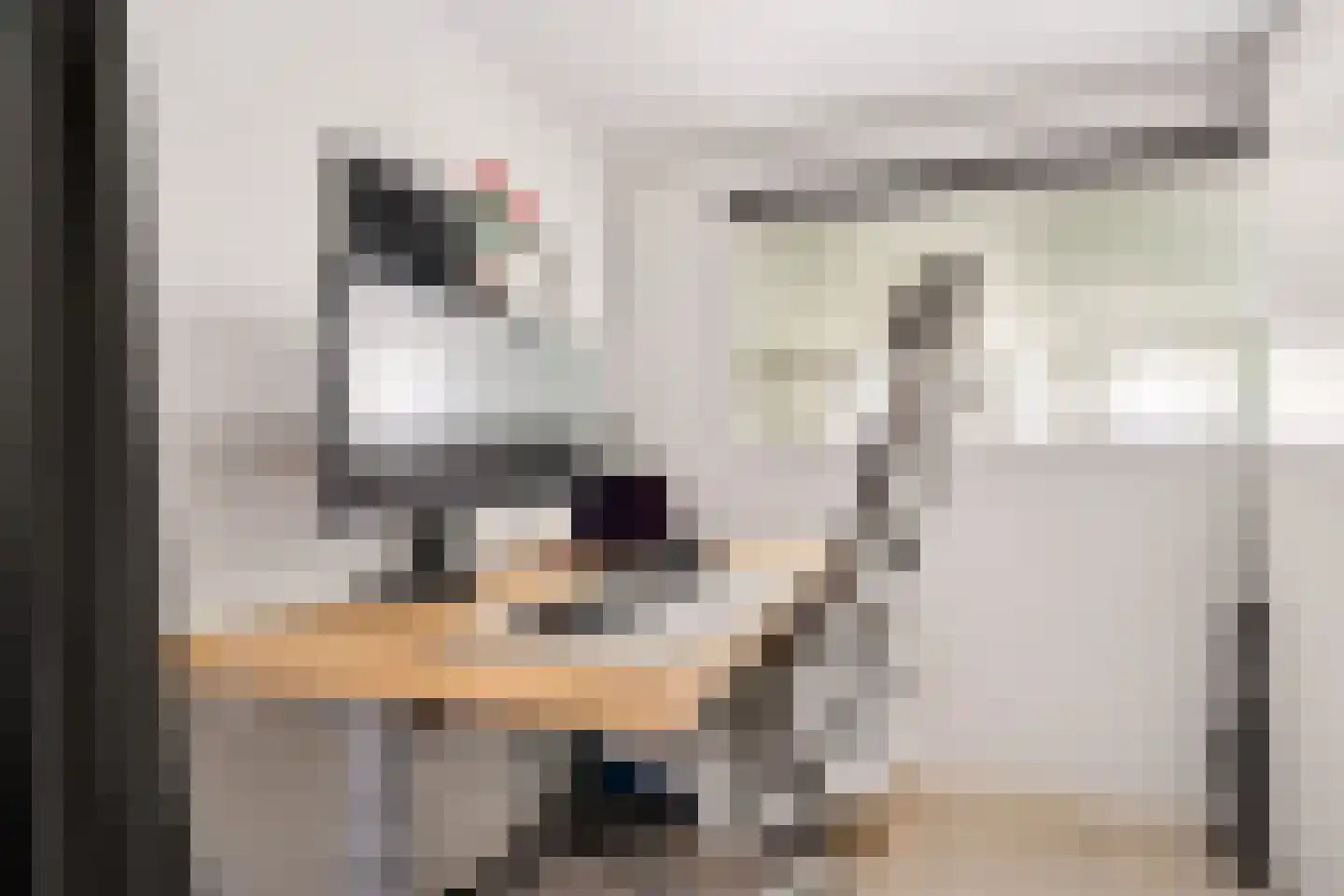 Kalverstraat 6 A Zwolle thumbnail 18