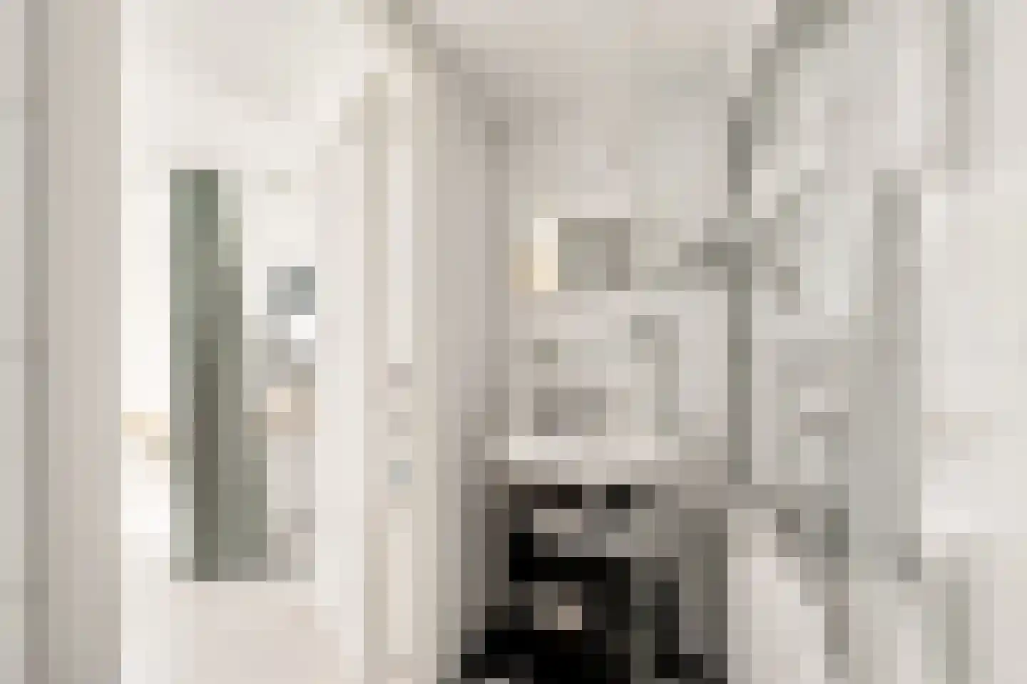 Kalverstraat 6 A Zwolle thumbnail 19