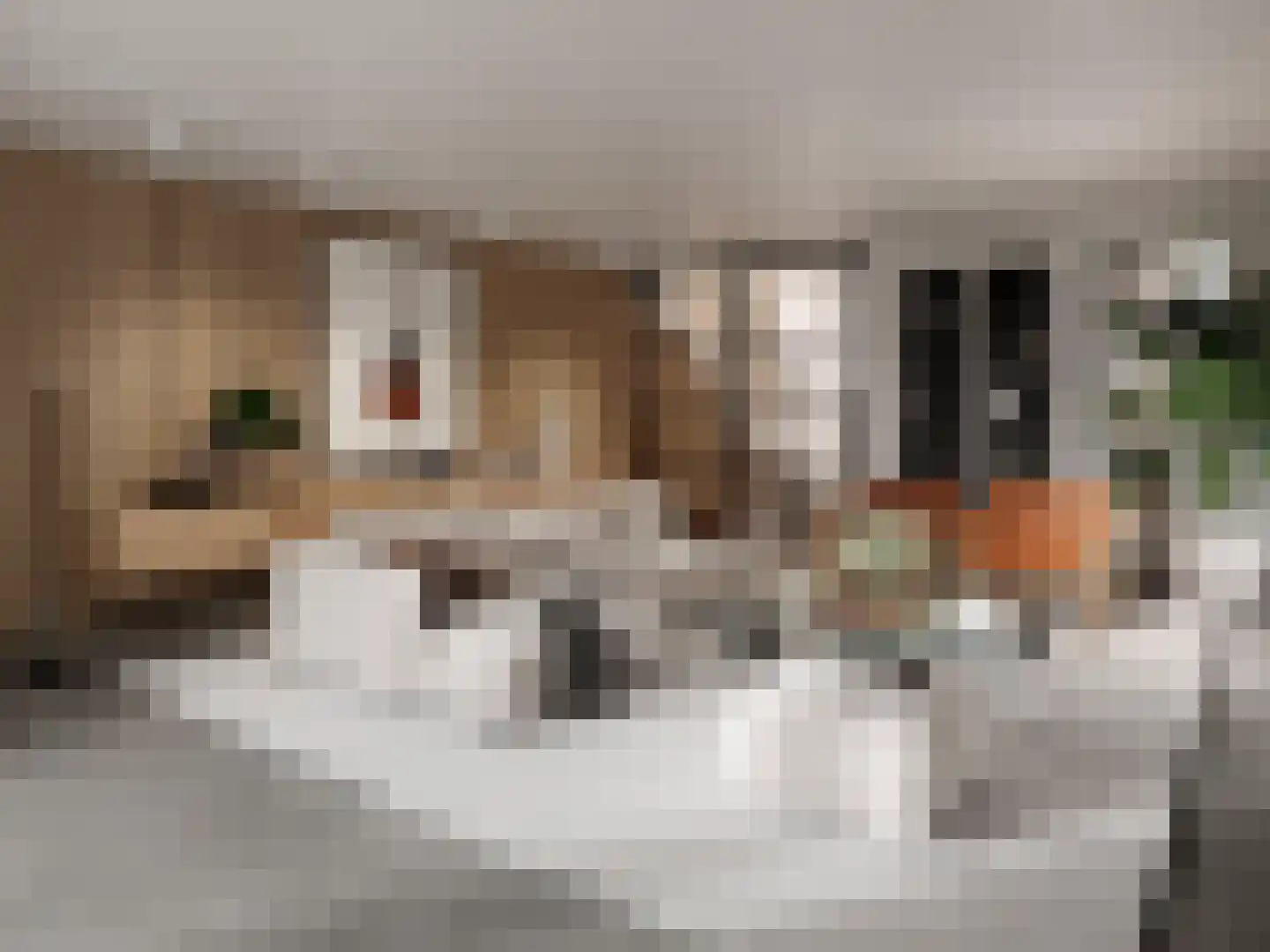 Kalverstraat 6 Made thumbnail 5