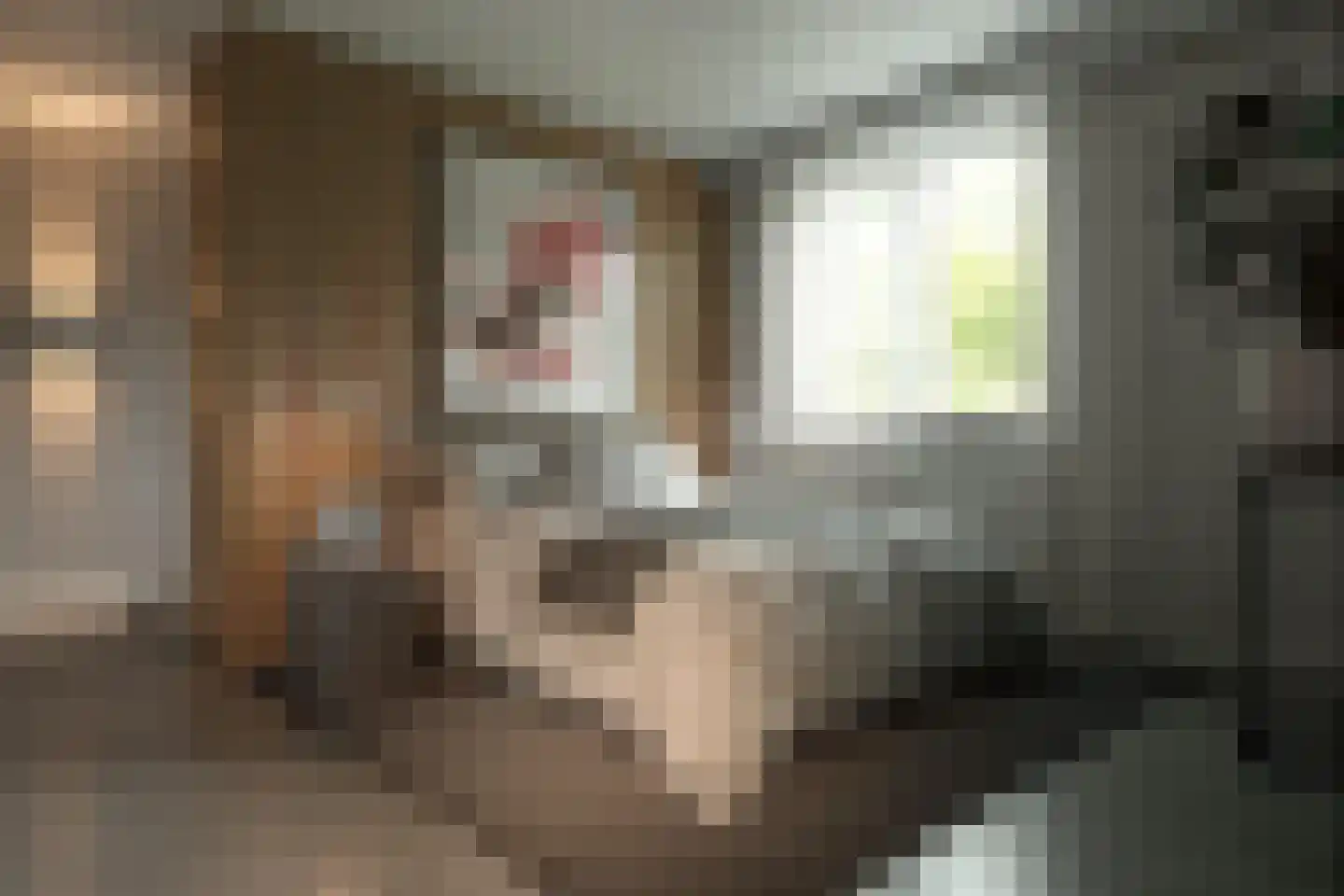 Kalverstraat 6 Made thumbnail 7
