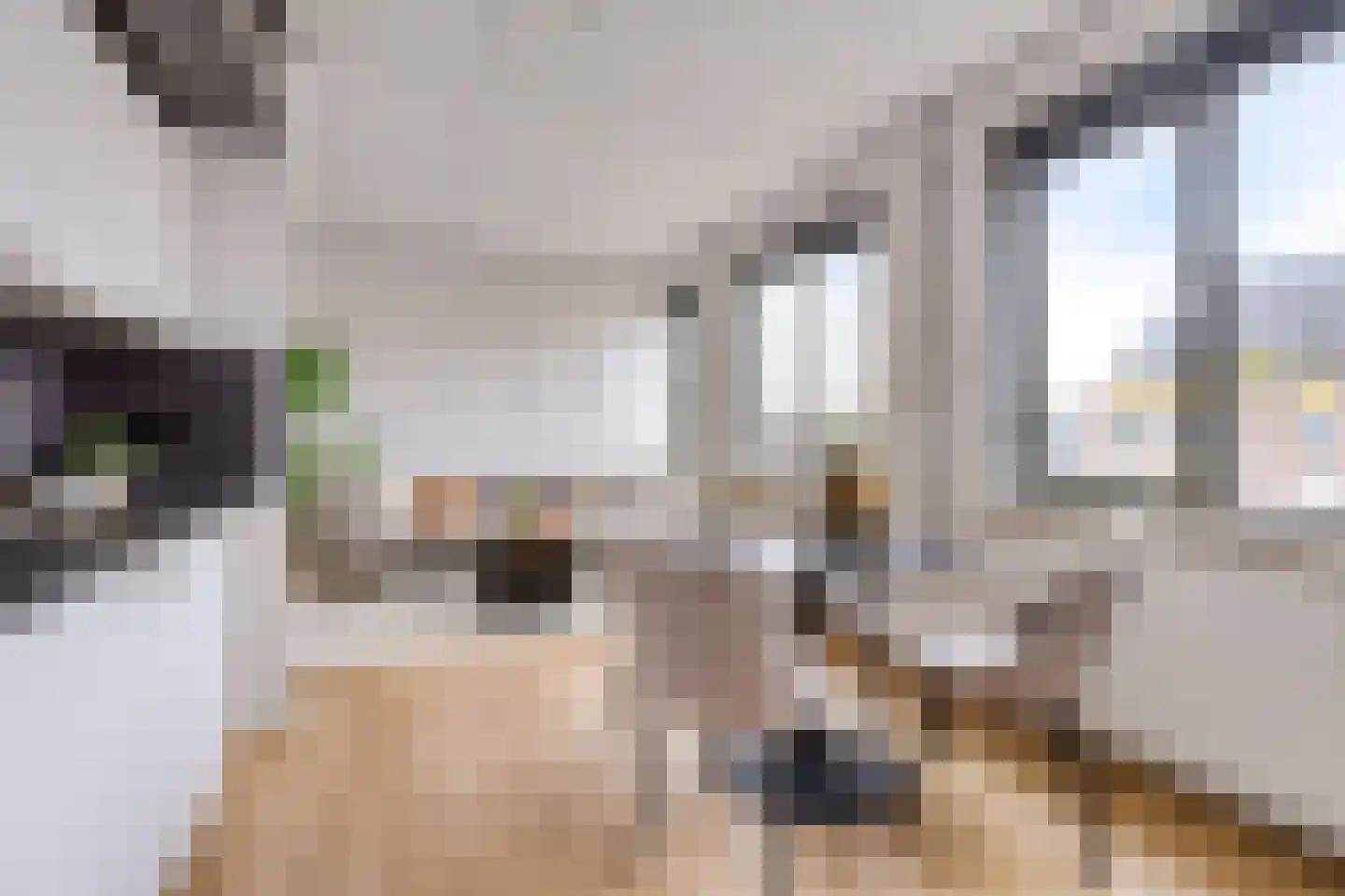 Kalverstraat 8 10 Apeldoorn thumbnail 17