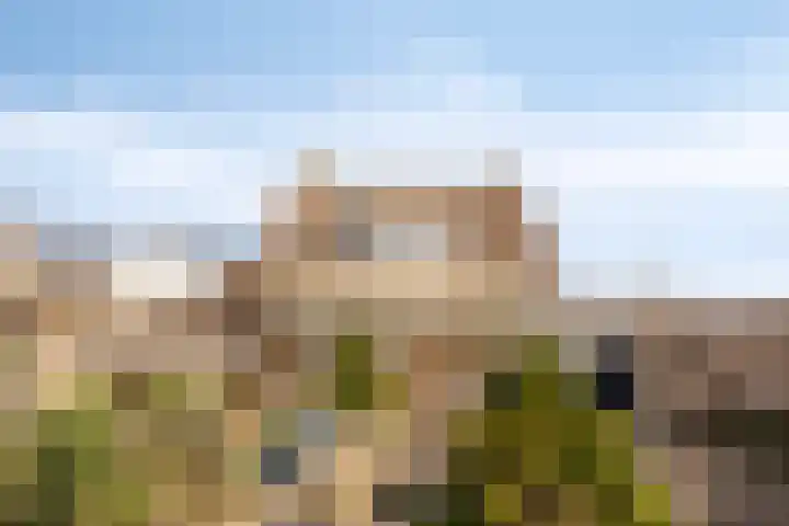 Kalverstraat 87 Made thumbnail 34