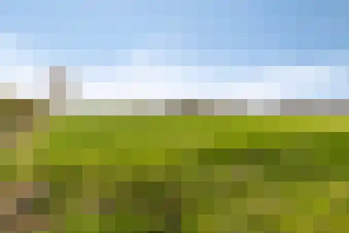 Kalverstraat 87 Made thumbnail 37
