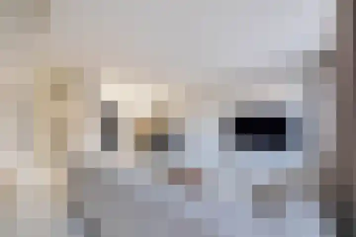 Kalverstraat 9 Almelo thumbnail 7