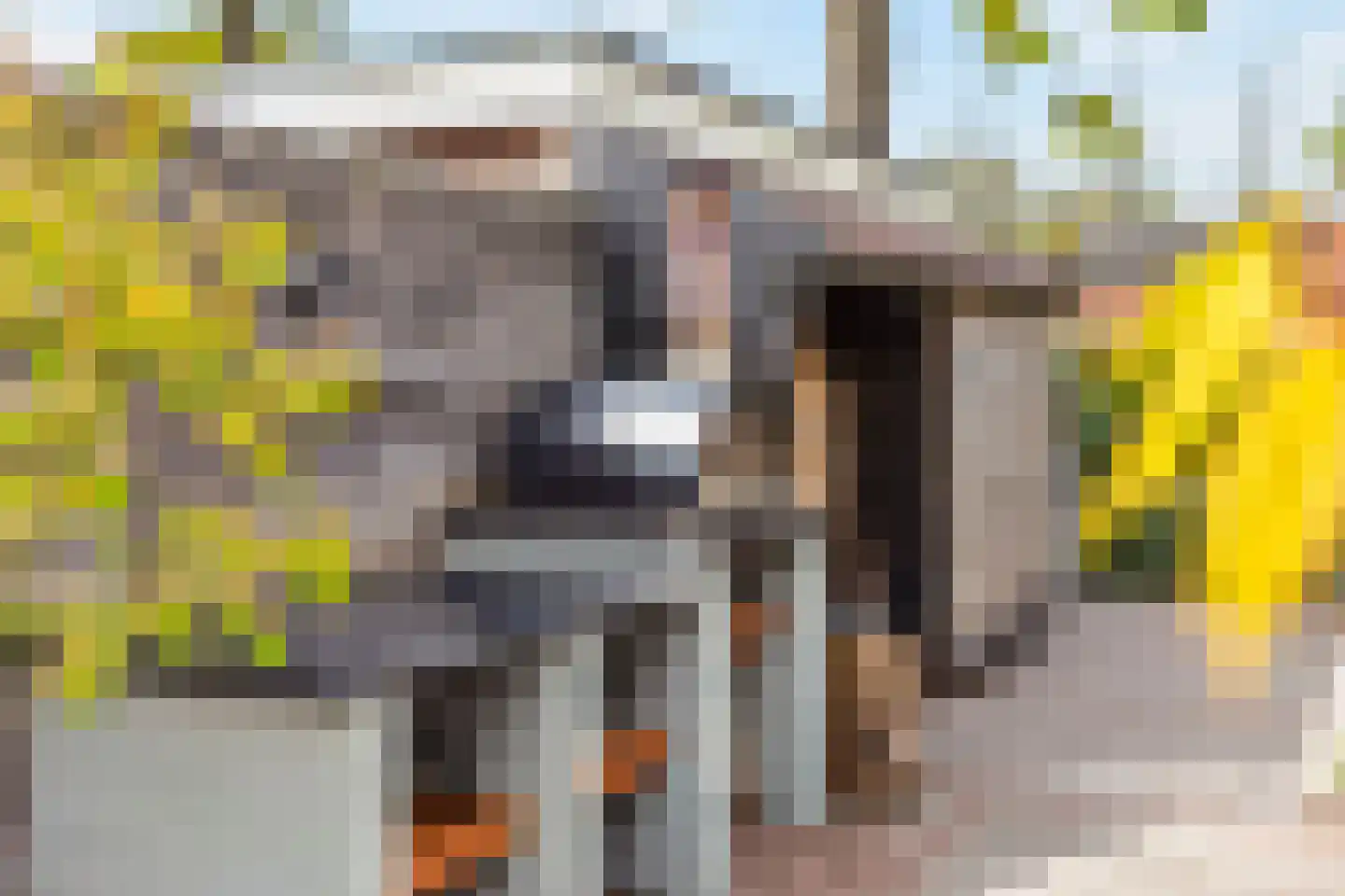 Kalverstraat 9 De Meern thumbnail 24