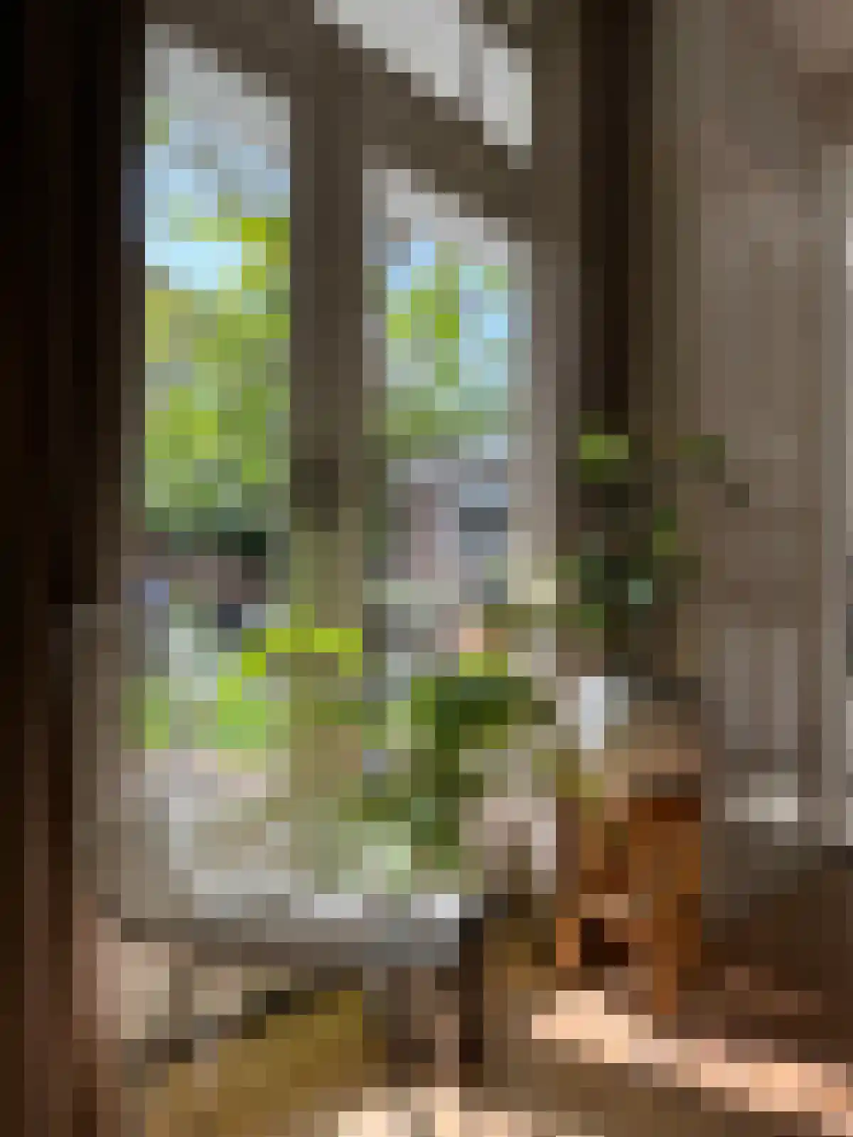 Kalverstraat 's-Hertogenbosch thumbnail 5