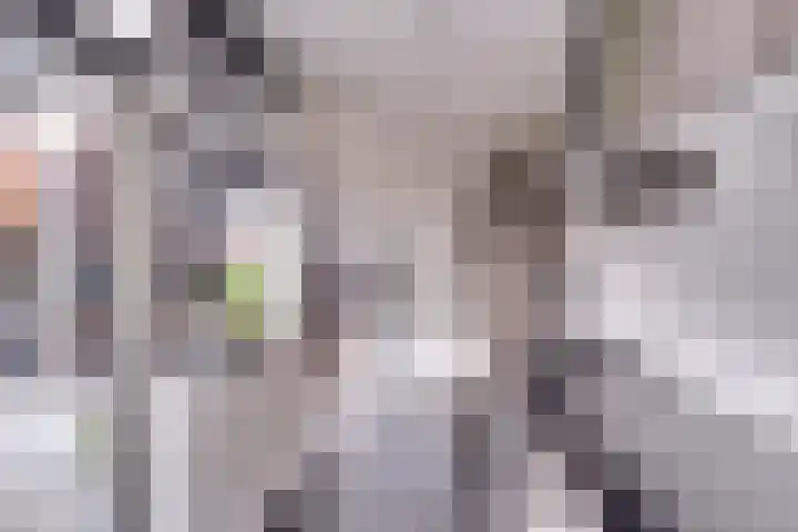 Kalverweg 23 Schoonrewoerd thumbnail 10
