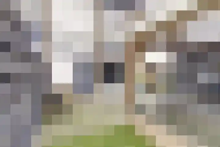 Kalverweg 23 Schoonrewoerd thumbnail 4