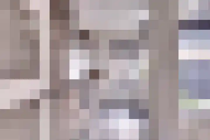 Kalverweg 23 Schoonrewoerd thumbnail 8