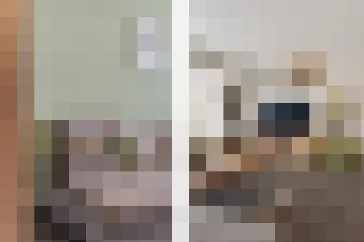 Kalverweide 14 Zoetermeer thumbnail 10